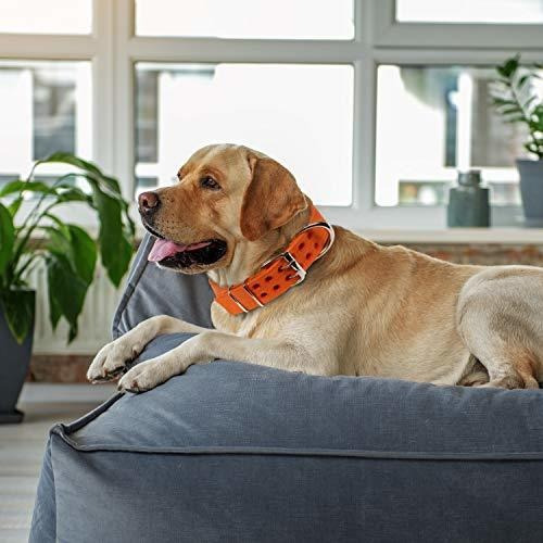 Imagen 5 de 7 de Collar Pitbull, Collar De Perro Para Los Perros Grandes, De