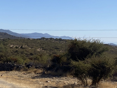Hermoso Fundo Ubicado A 6,5 Km De San Fernando