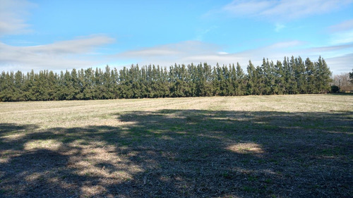 Campo En Venta En San Eladio, Buenos Aires.