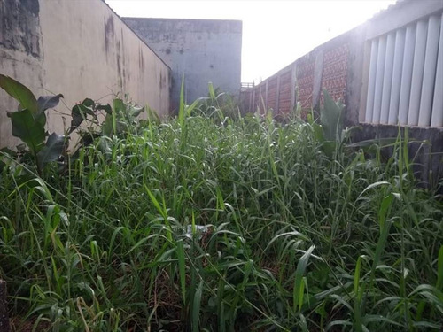 Imagem 1 de 5 de Terreno - Venda - Campos Eliseos - Itanhaem - Ita2898