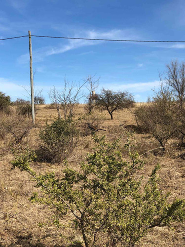 Imagen 8 de 12 de Terreno Sierras De Córdoba Pque Siquiman 1600m A 300 Mt De La Bajada Al Lago // 5 Minutos De La Ruta/// A 15 Minutos De Villa Carlos Paz/// A 30 Minutos De Córdoba //apto Crédito// Gran Oportunidad