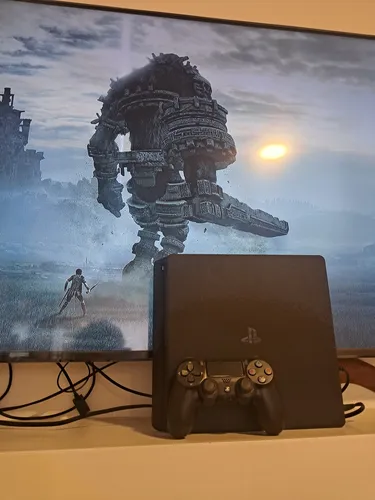 Ps4 Slim Programada 11.0 Hen (Usado)