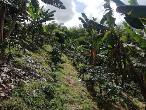 Imagen 18 de 30 de Vendo Finca En Avenida Condina Precio De Oportunidad