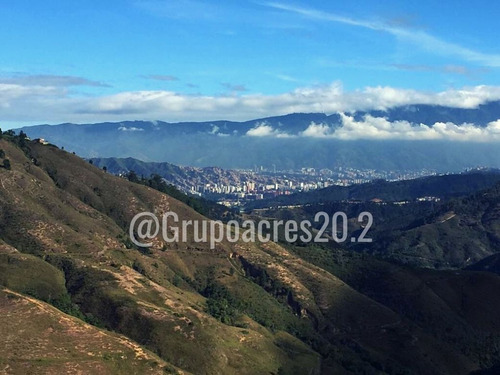 Imagen 4 de 4 de Acres 20.2 Vende Amplio Lote De Terreno Ubicado En Pacheco San Antonio De Los Altos. Cf