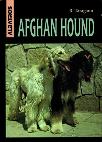 Afghan Hound - Rosa Taragano De Azar