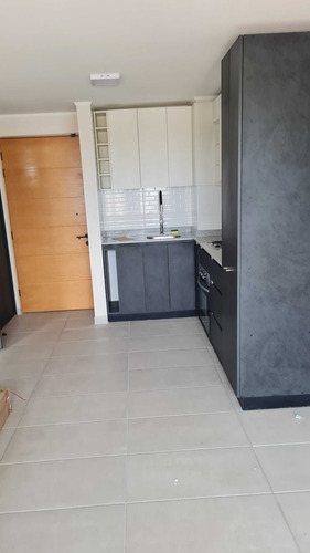 Arriendo Amoblado Nuevo Centro Concepcion (84964)