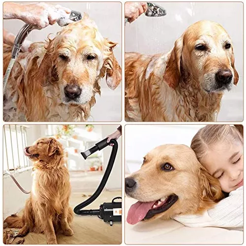Secador de pelo para perros para aseo – Secador profesional de alta  velocidad de 4.5 HP para perros – Secador de mascotas ajustable de calor  bajo