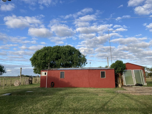 Imagen 11 de 21 de Chacra De 8 Hás Con Vivienda Próximo A Tala