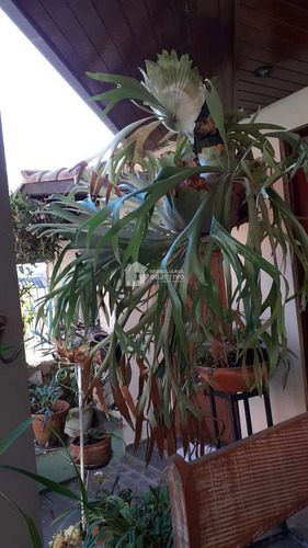 Imagem 20 de 21 de Sobrado Com 3 Dorms, Centro, Itapecerica Da Serra - R$ 800 Mil, Cod: 4142 - V4142