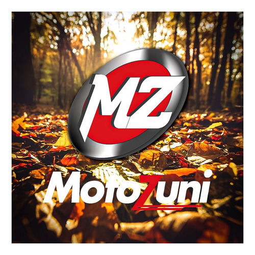 Imagen 7 de 21 de Motomel Skua 250 Adventure Motozuni Avellaneda