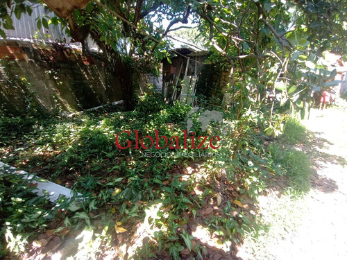Imagem 5 de 16 de Terreno - Te00005 - 70482597