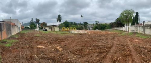Imagem 7 de 8 de Terreno Comercial Para Venda Em Cajamar, Jordanésia (jordanésia) - 20720_1-1703484