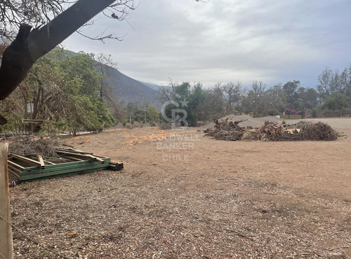 8000 M2 En Cabildo Propiedad Agrícola Comercial