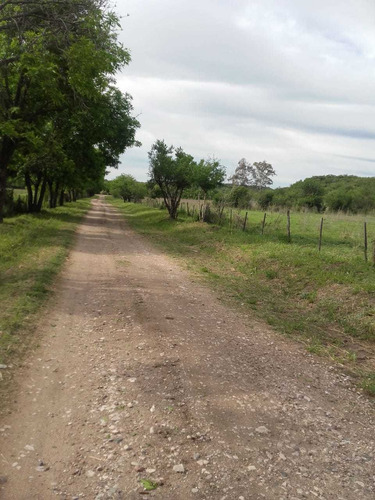 Imagen 2 de 8 de Campo En Alquiler La Granja Córdoba