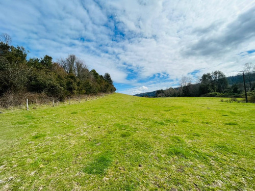 Se Vende Proyecto Aprobado Por Sag Panguipulli Los Lagos