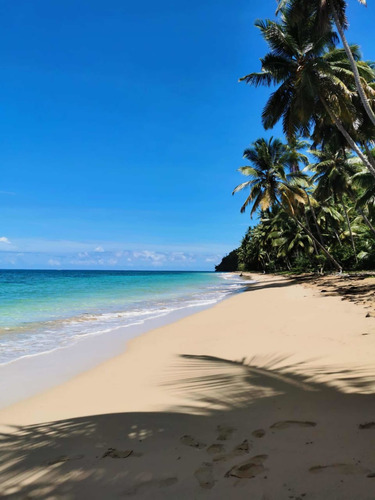 Vendo 1.500.000 Metros En La Galera De Samana En La Playa