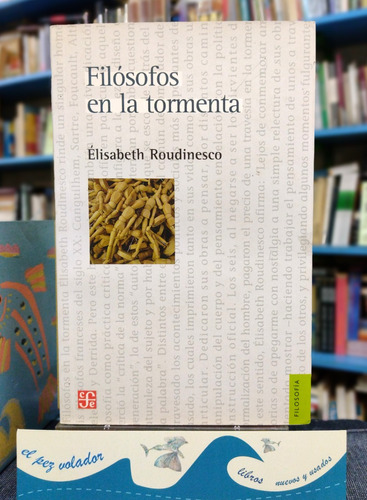 Filósofos En La Tormenta Elisabeth Roudinesco