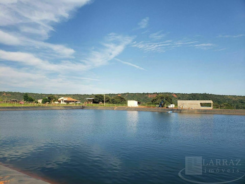 Imagem 1 de 5 de Ótima Fazenda Para Venda Na Regiao De Patos De Minas / Pres. Olegario-mg, Com 1.674 Hectares, Café, Pasto, Eucalipto, Casa Sede E Benfeitorias - Fa00277 - 69562047