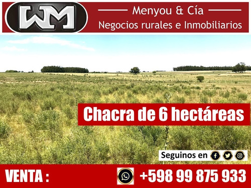 Venta Campo Chacra En Flores 5 Has 7km De Trinidad Flores