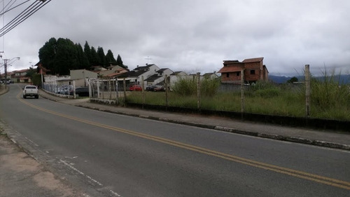 Imagem 6 de 6 de Terreno Em Vila Oliveira - Mogi Das Cruzes - 2655