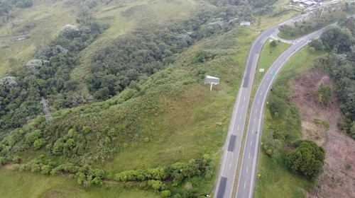 Se Vende Lote De 39.400m2 En Sobre La Autopista Del Cafe Circasia, Q