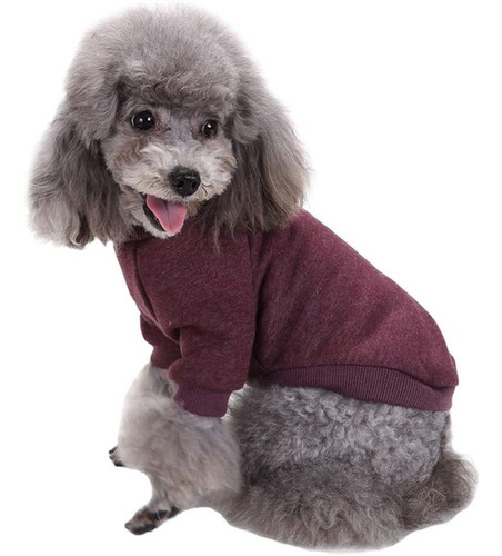 Imágen-de-perro-con-ropa-de-punto.