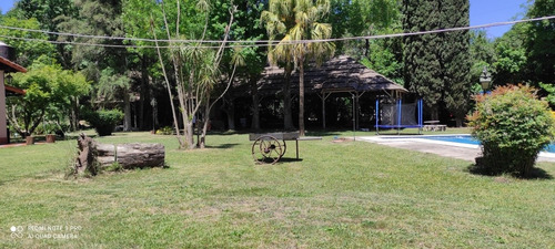 Imagen 8 de 14 de Alquiler Quinta Para Eventos Fiestas Cumpleaños Despedidas