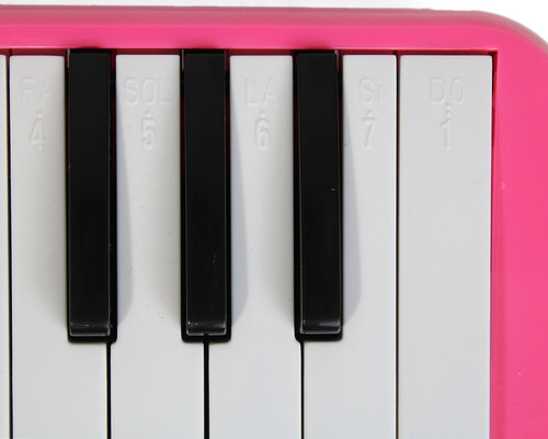 Imagen 5 de 6 de Flauta Melodica Con Funda 32 Notas A Piano Ramallo Rosa