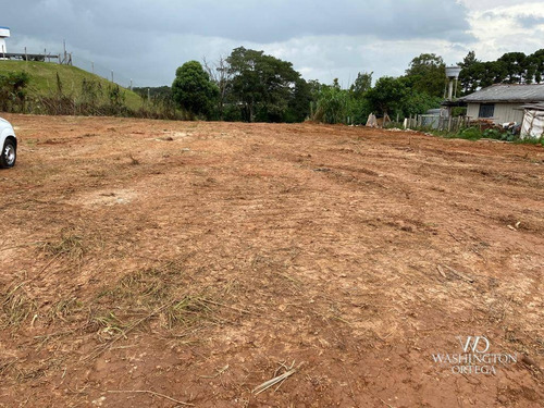 Imagem 4 de 5 de Área Industrial 2540 M² Por R$1.190.000,00 - Braga - São José Dos Pinhais/pr - Te0035