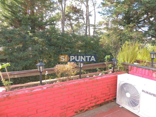Imagen 8 de 8 de Apartamento En Venta