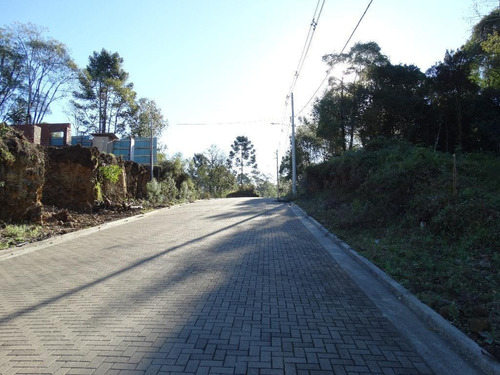 Imagem 2 de 15 de Terreno À Venda, 463 M² Por R$ 446.800,00 - Vivendas Do Arvoredo - Gramado/rs - Te0093