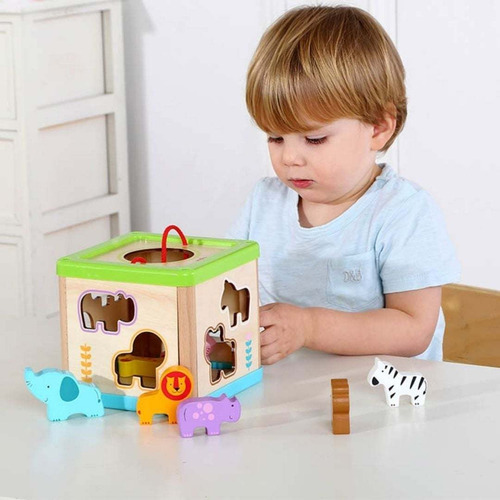 Imagen 2 de 4 de Caja Clasificadora De Animales