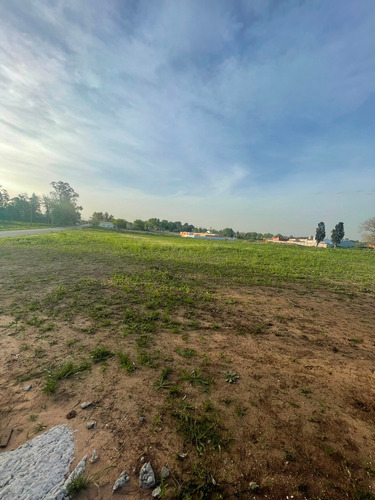 Imagen 2 de 2 de Lotes De 290m2 En Villa Italia