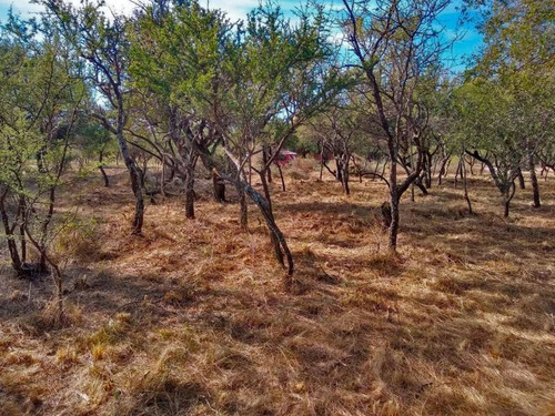 Imagen 3 de 11 de Terrenos O Lotes Venta Carpintería