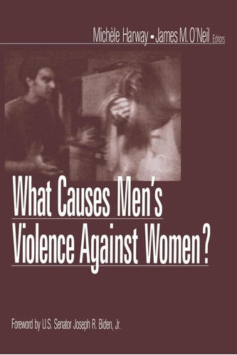 Libro: En Ingles What Causes Menøs Violence Against Women?