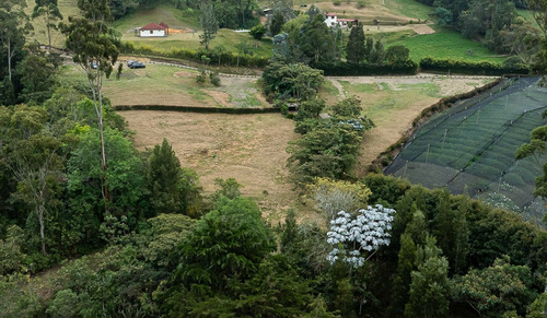 Rhbr-10092 Lotes (la Ceja , Vereda El Uchuval, Via La Ceja - La Unión)