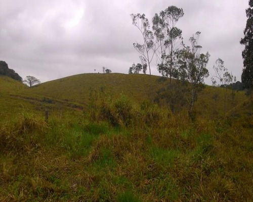 Imagem 6 de 30 de Fazenda - 0195 - 32820324