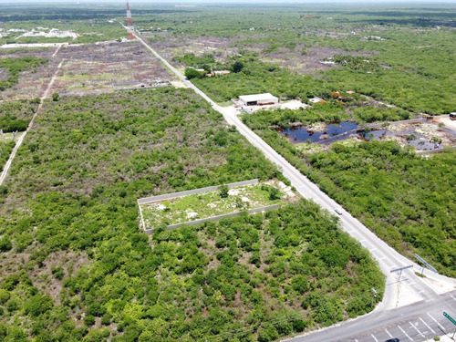 Imagen 13 de 13 de Terreno - Conkal Para Proyecto Comercial