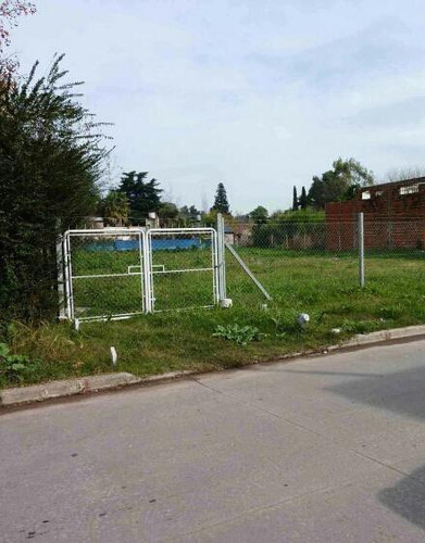 Imagen 9 de 10 de Terreno - Paso Del Rey