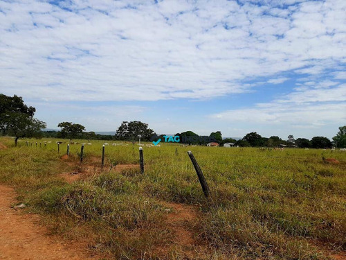 Imagem 10 de 14 de Fazenda À Venda - Pirapora/mg - Fa0011