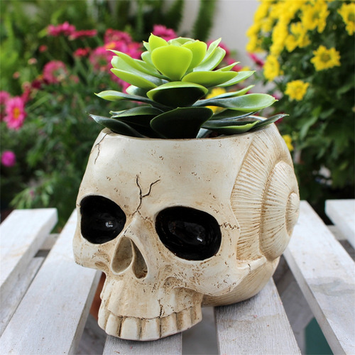 Macetas Para Decoración De Hogar, Jardín Y Oficina, Diseño D