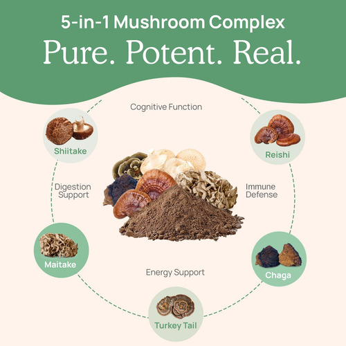 5 Defenders Organic Mushroom Extract Blend By Real Mushrooms