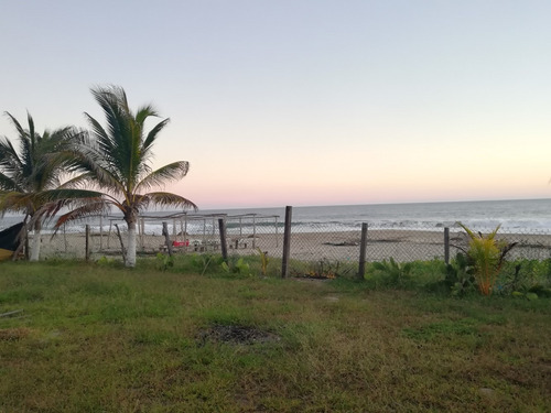 Imagen 9 de 14 de Vendo Terreno En Acapulco Pie De La Cuesta Frente De Playa
