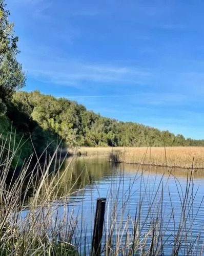 Parcela Con Vista Embarcadero Al Rio En El Peñol Maullín