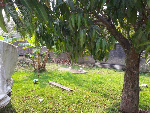 Imagem 6 de 15 de Terreno Comercial - Rio Tavares - Ref: 1841 - V-1878