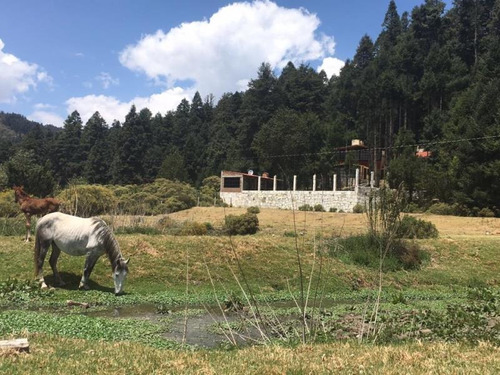 Imagen 10 de 12 de Terreno En Venta Compra Tu Terreno Y Construye La Cabaña De Tus Sueños!