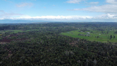 Campo En La Unión Cercano Al Lago Ranco 27,4 Hectáreas