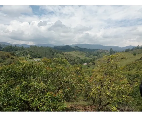 Lote En Venta Proyecto De Parcelación En El Retiro, Vía Pantanillo