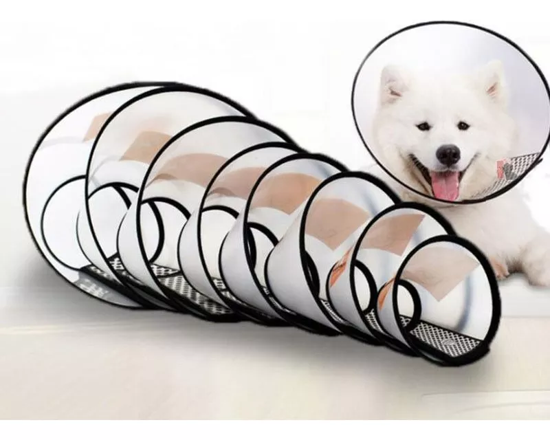 Primeira imagem para pesquisa de cone para cachorro