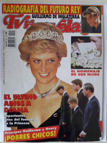 Revista De Coleccion:  Tv Novelas